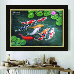 Cửu ngư quần tụ - CN10