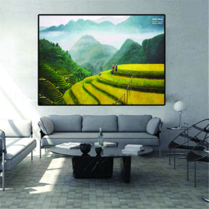 Vụ mùa bội thu - MB14