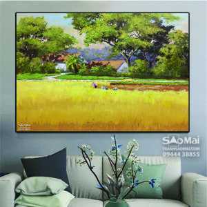 Vụ mùa bội thu - MB16