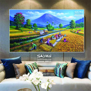 Vụ mùa bội thu - MB1