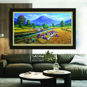 Vụ mùa bội thu - MB2