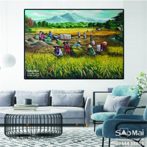 Vụ mùa bội thu - MB3